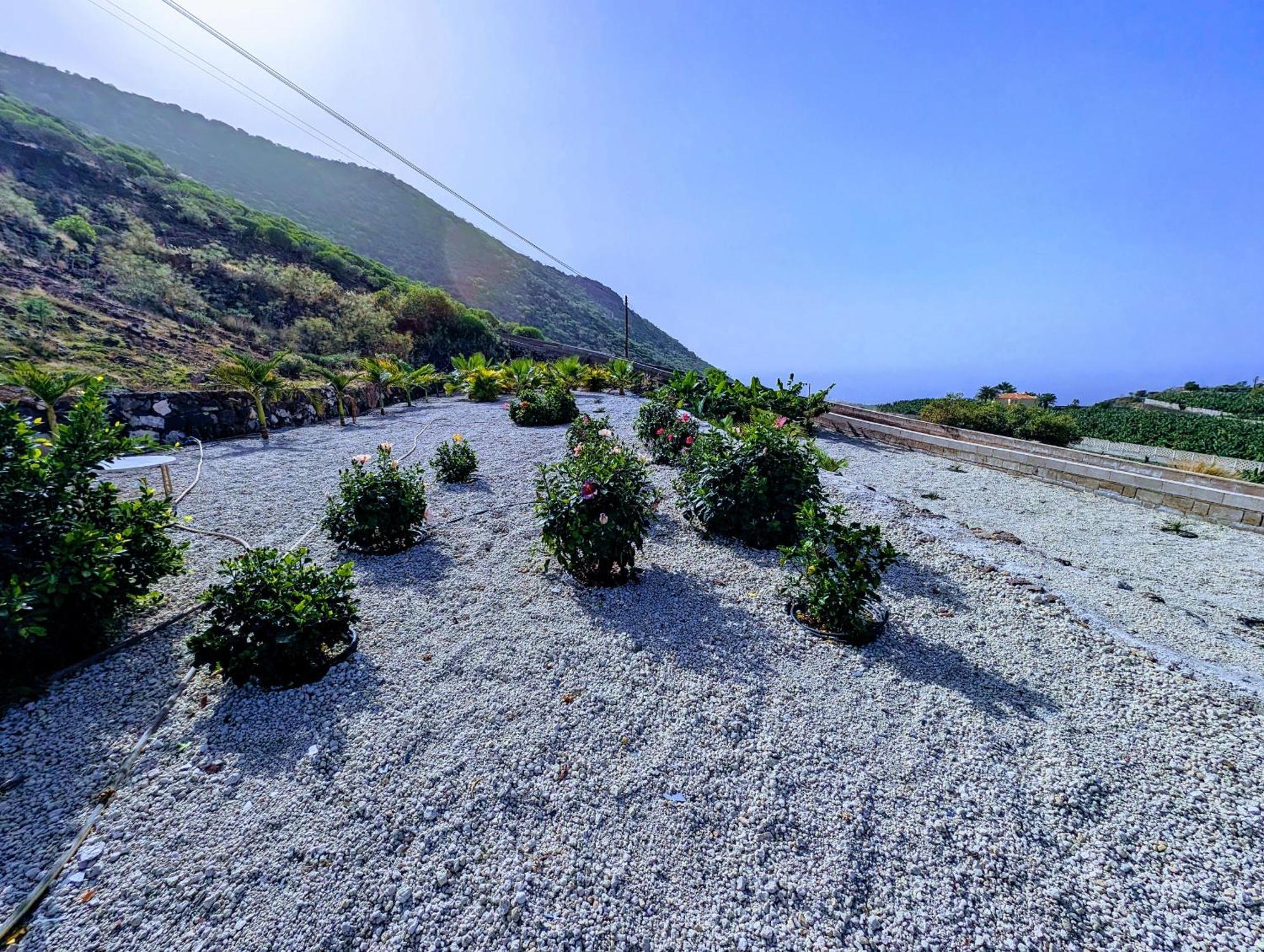 Santiago del Teide Sea La Vie Apartment - Adults Only מראה חיצוני תמונה